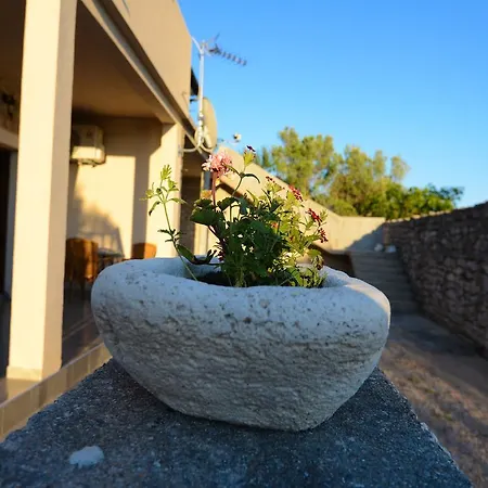 Apartment Punta *