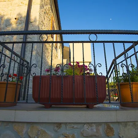 Apartment Punta