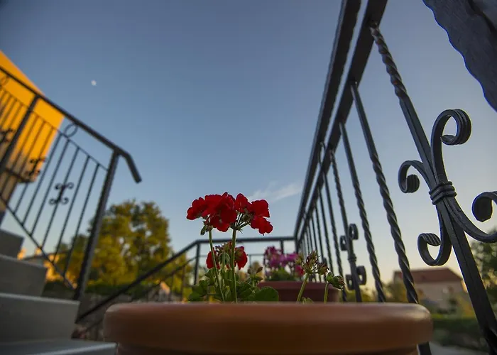 Punta 斯塔利格拉德-帕克利尼卡